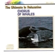 No Artist - Magic Moods - The Ultimate In Relaxation: Chorus Of Whales